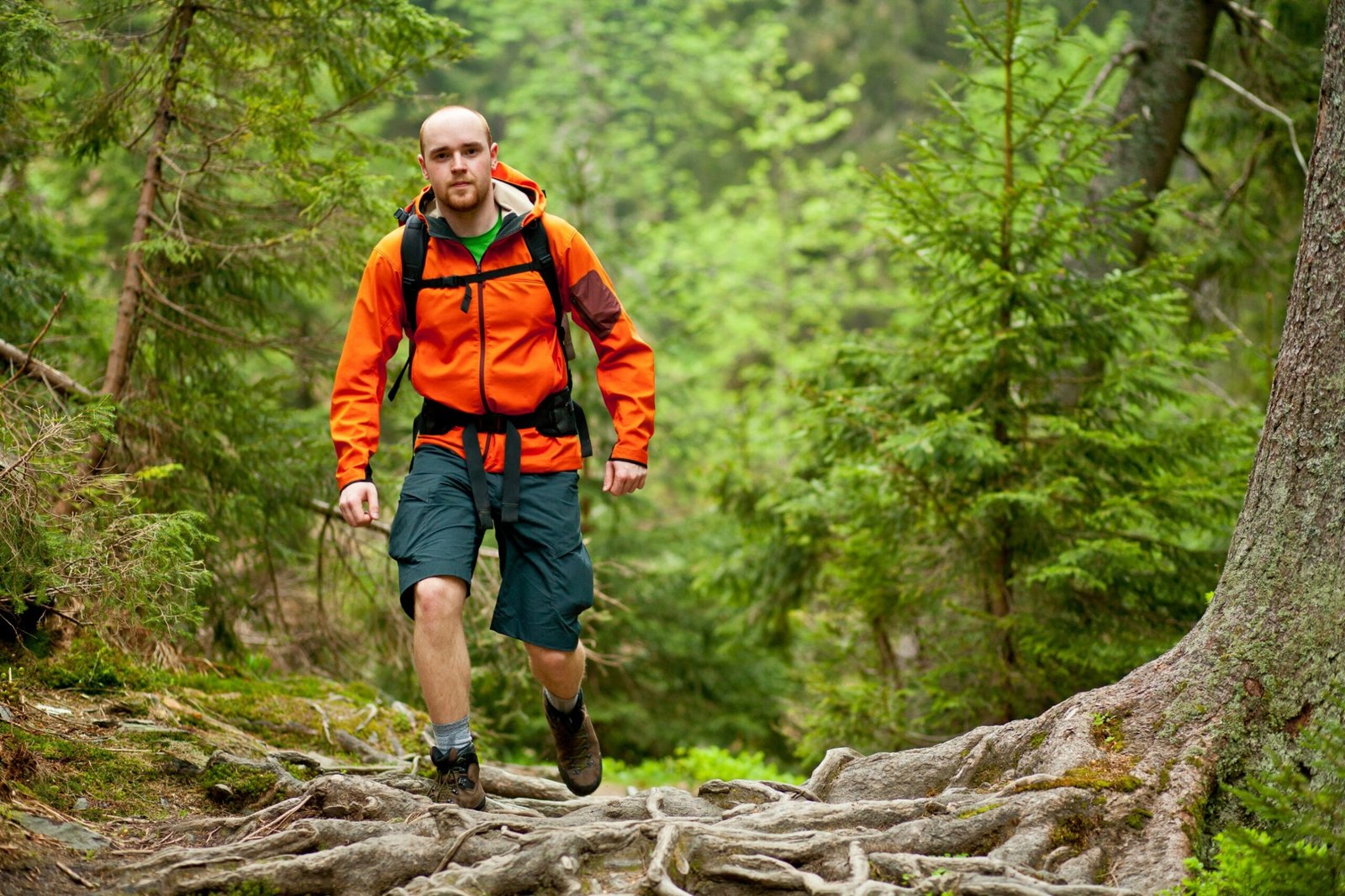 Randonneur en veste orange vif sur un sentier forestier