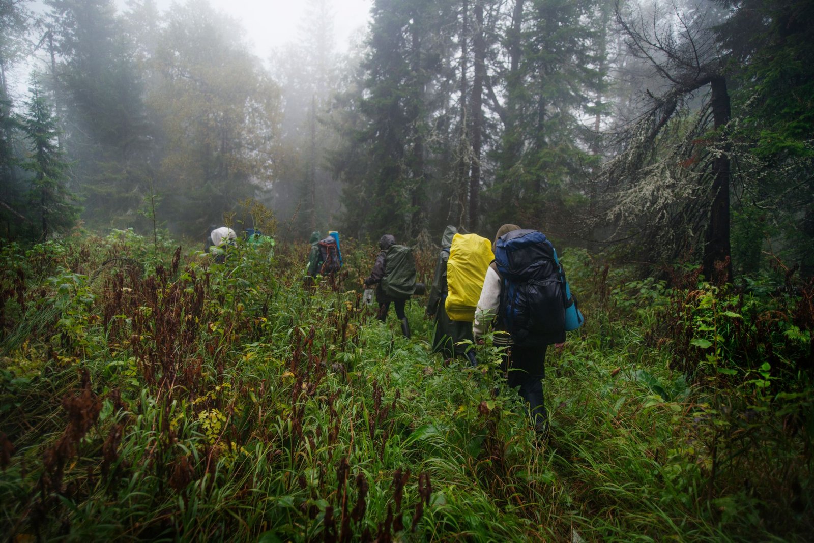 Groupe de randonneurs avec des housses de pluie sur leurs sacs, dans une forêt brumeuse