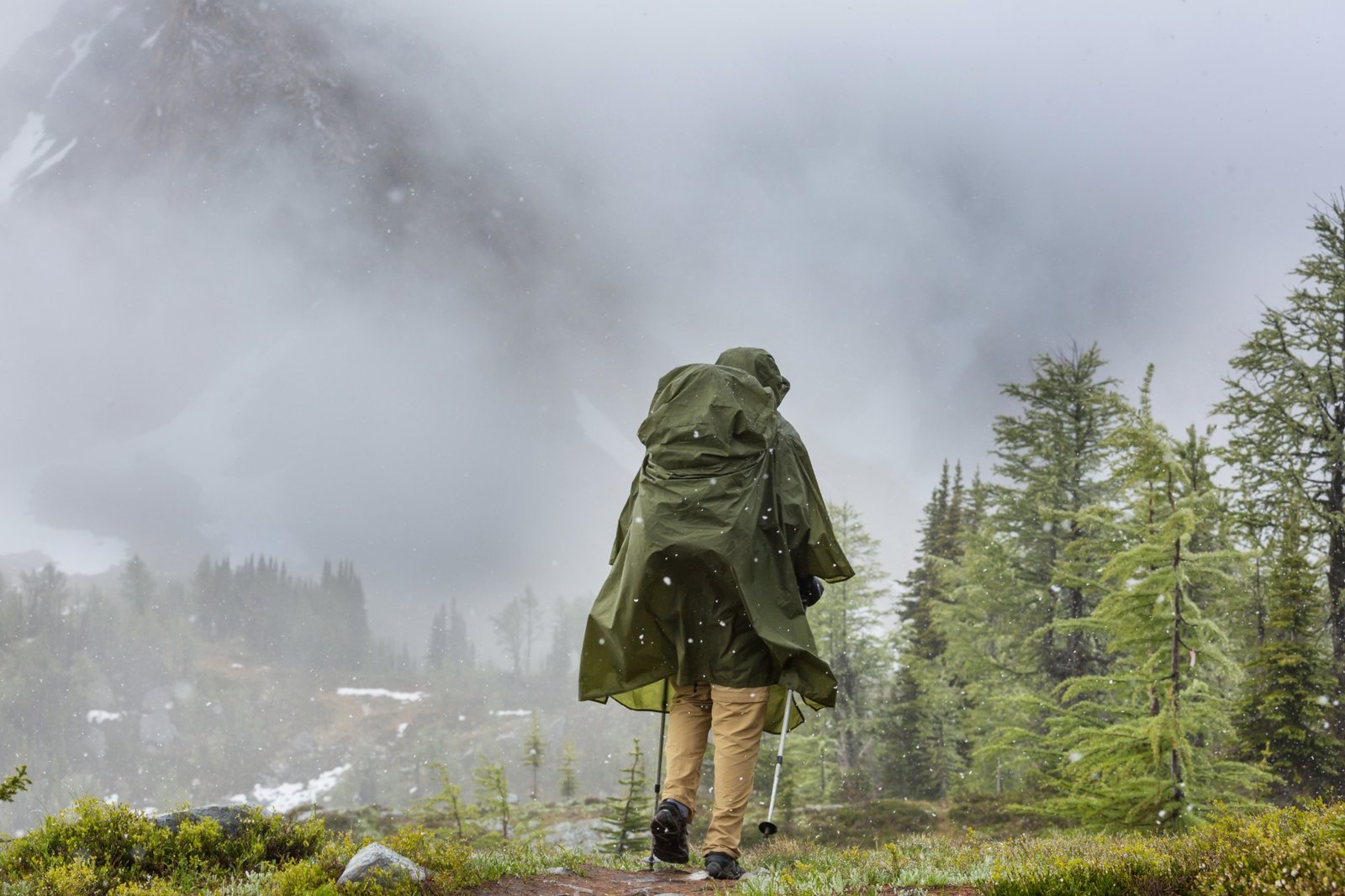 Randonneur en poncho vert avec ses bâtons, de dos, sous la pluie et la neige en montagne